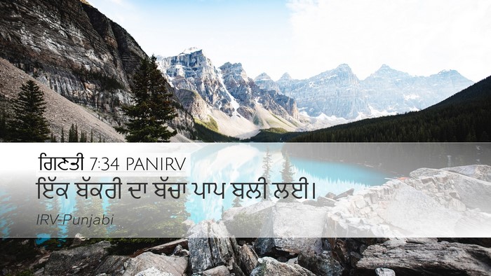 ਗਿਣਤੀ 7:34 PANIRV Desktop Wallpaper - ਇੱਕ ਬੱਕਰੀ ਦਾ ਬੱਚਾ - Desktop Bible Verse Wallpaper