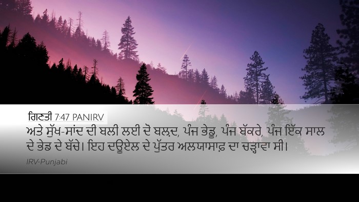 ਗਿਣਤੀ 7:47 PANIRV Bible Verse Image