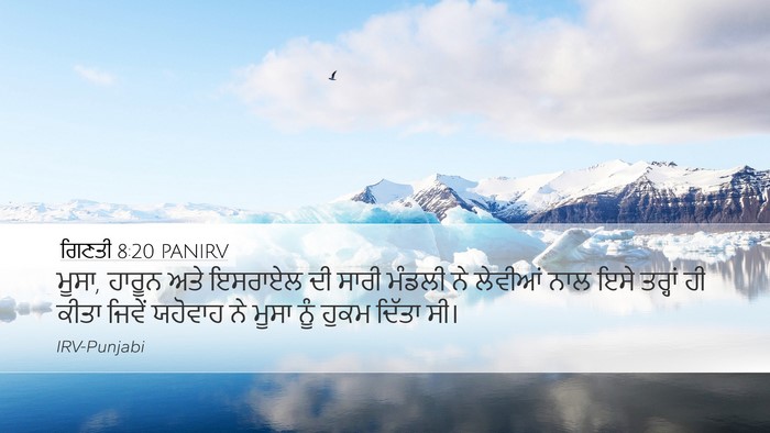 ਗਿਣਤੀ 8:20 PANIRV Bible Verse Image