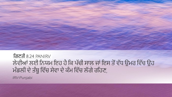 ਗਿਣਤੀ 8:24 PANIRV Bible Verse Image