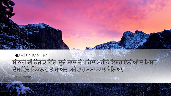 ਗਿਣਤੀ 9:1 PANIRV Bible Verse Image