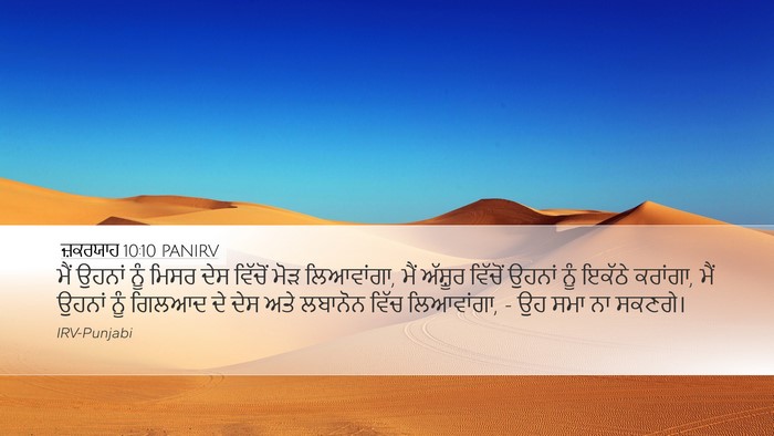 ਜ਼ਕਰਯਾਹ 10:10 PANIRV Bible Verse Image