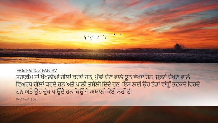 ਜ਼ਕਰਯਾਹ 10:2 PANIRV Bible Verse Image