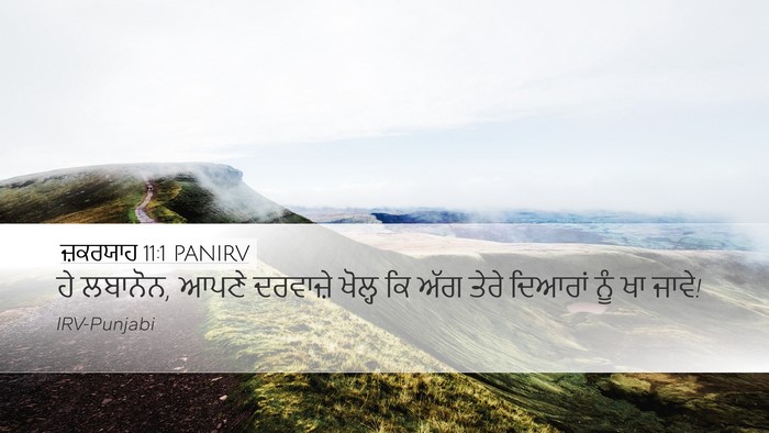 ਜ਼ਕਰਯਾਹ 11:1 PANIRV Bible Verse Image