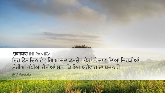 ਜ਼ਕਰਯਾਹ 11:11 PANIRV Bible Verse Image