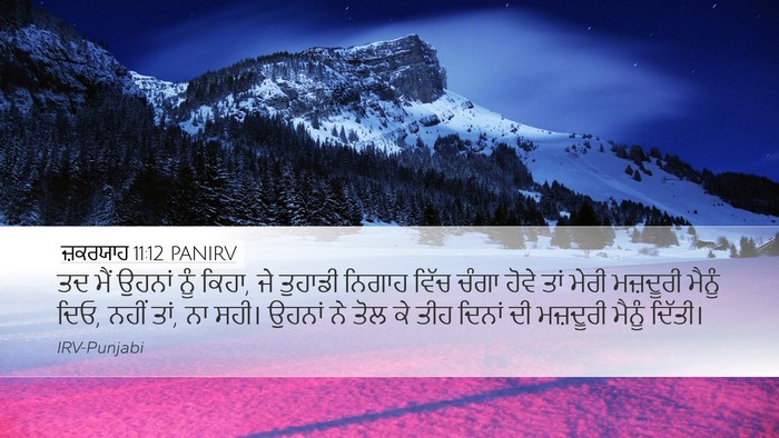 ਜ਼ਕਰਯਾਹ 11:12 PANIRV Bible Verse Image