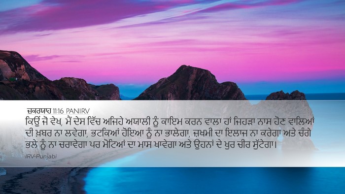 ਜ਼ਕਰਯਾਹ 11:16 PANIRV Bible Verse Image