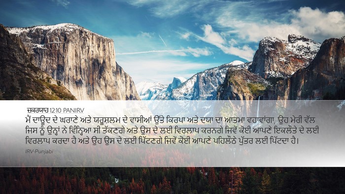 ਜ਼ਕਰਯਾਹ 12:10 PANIRV Bible Verse Image