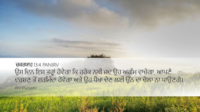 ਜ਼ਕਰਯਾਹ 13:4 PANIRV Bible Verse Image