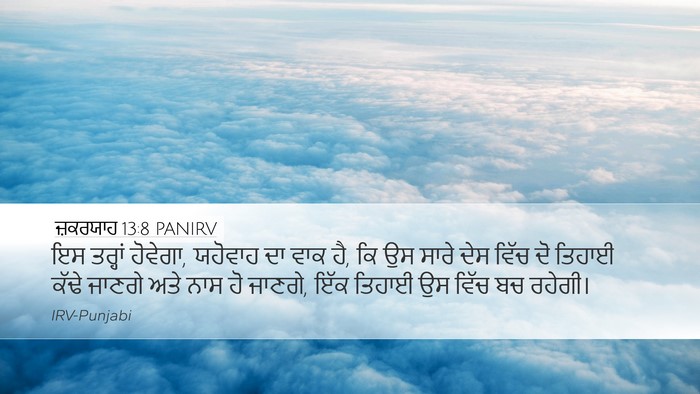 ਜ਼ਕਰਯਾਹ 13:8 PANIRV Bible Verse Image