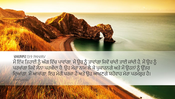 ਜ਼ਕਰਯਾਹ 13:9 PANIRV Bible Verse Image