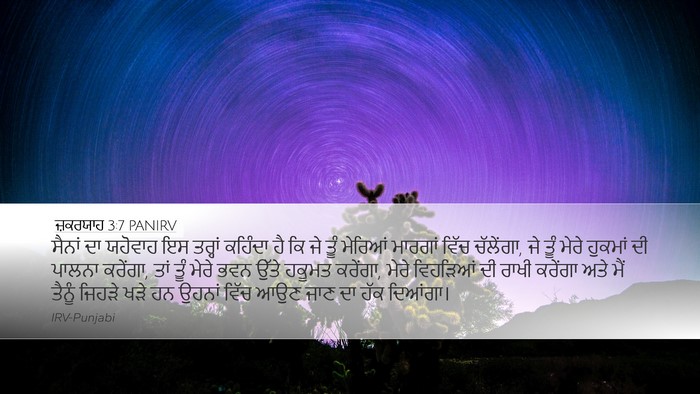 ਜ਼ਕਰਯਾਹ 3:7 PANIRV Bible Verse Image