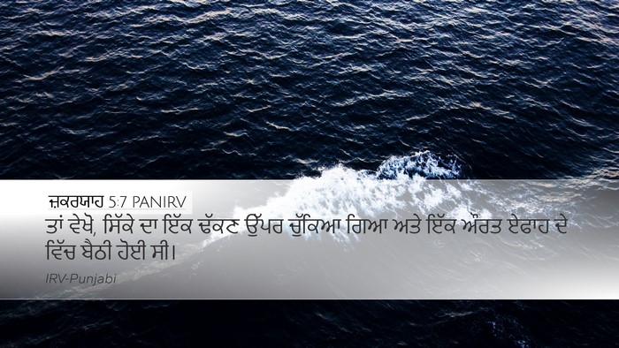 ਜ਼ਕਰਯਾਹ 5:7 PANIRV Bible Verse Image