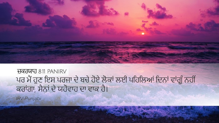 ਜ਼ਕਰਯਾਹ 8:11 PANIRV Bible Verse Image