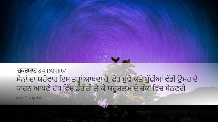 ਜ਼ਕਰਯਾਹ 8:4 PANIRV Bible Verse Image