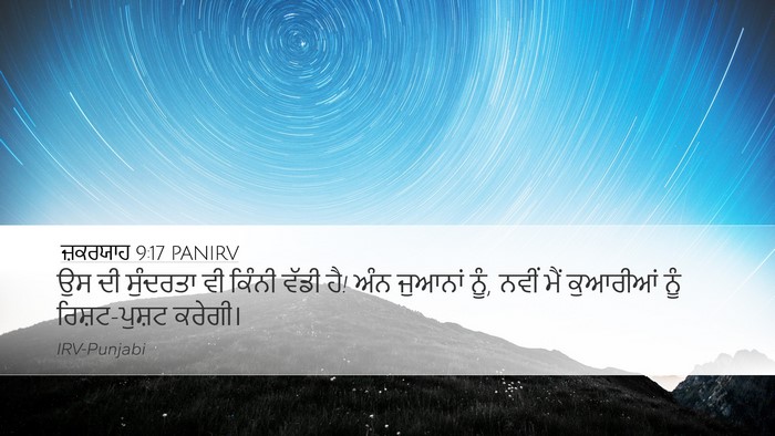 ਜ਼ਕਰਯਾਹ 9:17 PANIRV Bible Verse Image