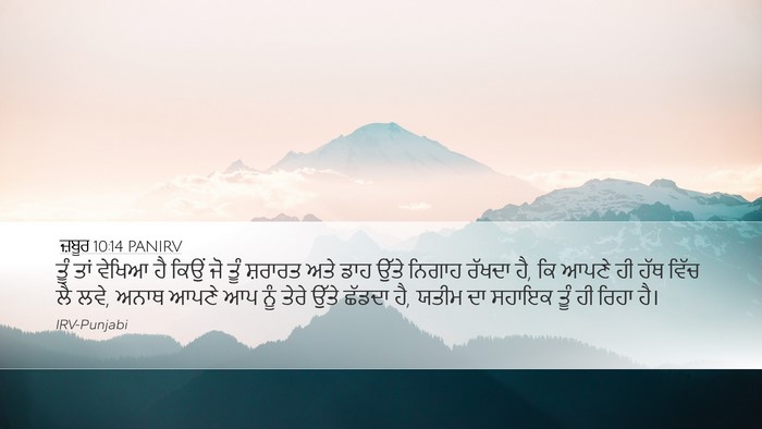 ਜ਼ਬੂਰ 10:14 PANIRV Bible Verse Image