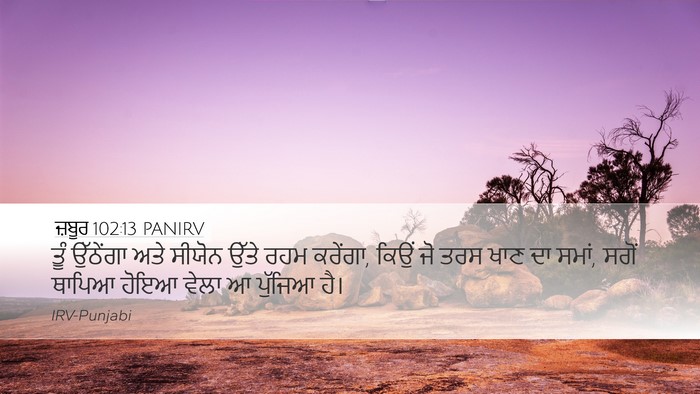ਜ਼ਬੂਰ 102:13 PANIRV Bible Verse Image
