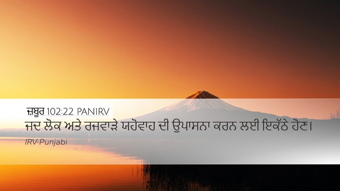 ਜ਼ਬੂਰ 102:22 PANIRV Bible Verse Image
