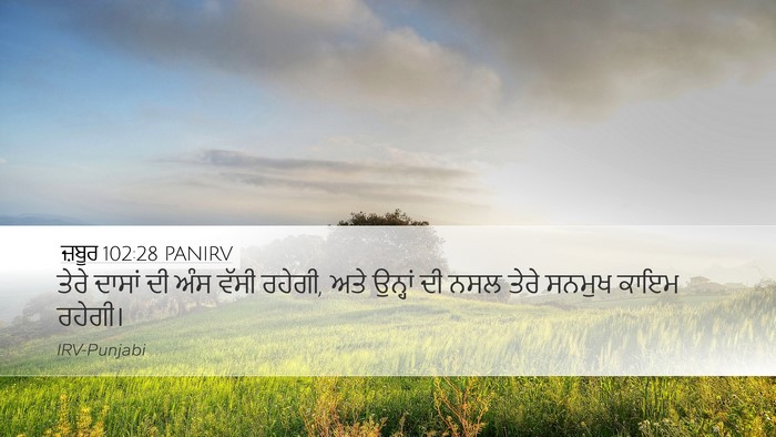 ਜ਼ਬੂਰ 102:28 PANIRV Bible Verse Image