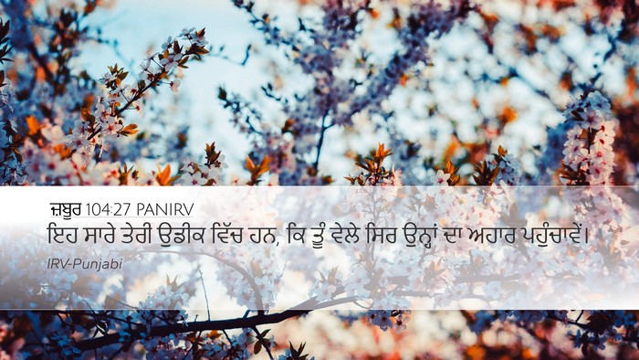 ਜ਼ਬੂਰ 104:27 PANIRV Bible Verse Image