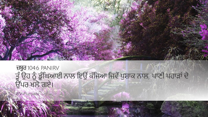 ਜ਼ਬੂਰ 104:6 PANIRV Bible Verse Image
