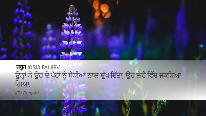 ਜ਼ਬੂਰ 105:18 PANIRV Bible Verse Image