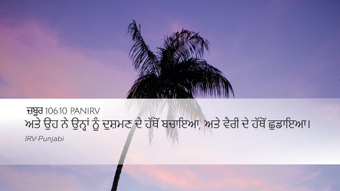 ਜ਼ਬੂਰ 106:10 PANIRV Bible Verse Image