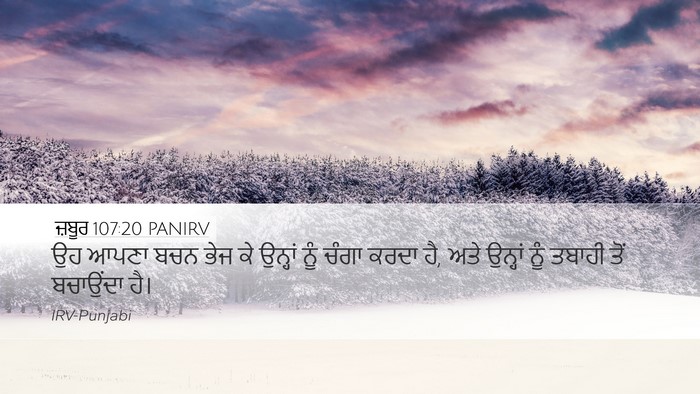 ਜ਼ਬੂਰ 107:20 PANIRV Bible Verse Image