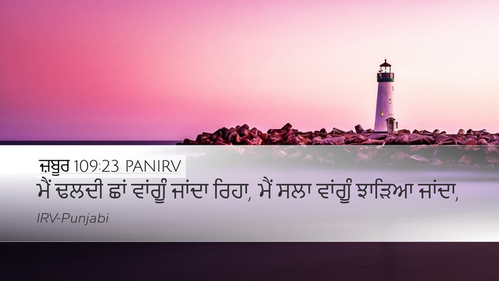 ਜ਼ਬੂਰ 109:23 PANIRV Bible Verse Image
