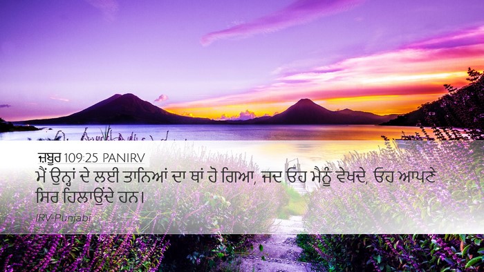 ਜ਼ਬੂਰ 109:25 PANIRV Bible Verse Image
