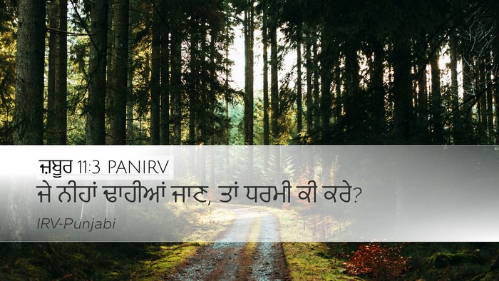 ਜ਼ਬੂਰ 11:3 PANIRV Desktop Wallpaper - ਜੇ ਨੀਹਾਂ ਢਾਹੀਆਂ - Desktop Bible Verse Wallpaper