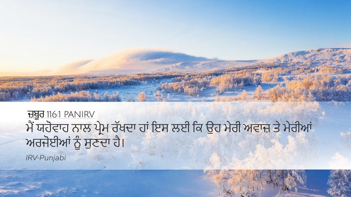 ਜ਼ਬੂਰ 116:1 PANIRV Bible Verse Image