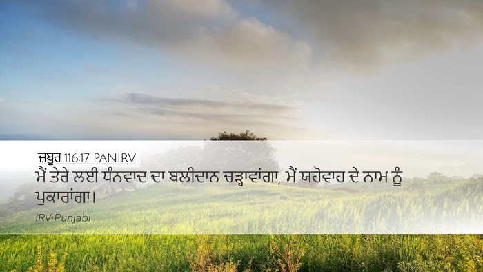 ਜ਼ਬੂਰ 116:17 PANIRV Bible Verse Image