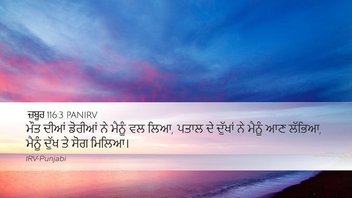 ਜ਼ਬੂਰ 116:3 PANIRV Bible Verse Image