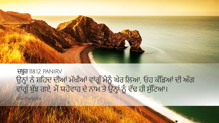 ਜ਼ਬੂਰ 118:12 PANIRV Desktop Wallpaper - ਉਨ੍ਹਾਂ ਨੇ ਸ਼ਹਿਦ - Desktop Bible Verse Wallpaper