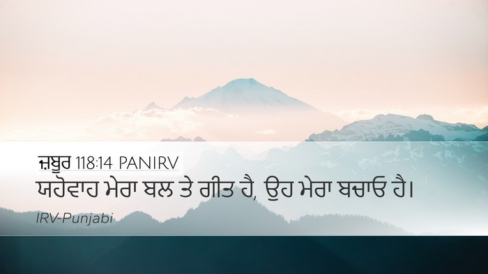 ਜ਼ਬੂਰ 118:14 PANIRV Bible Verse Image