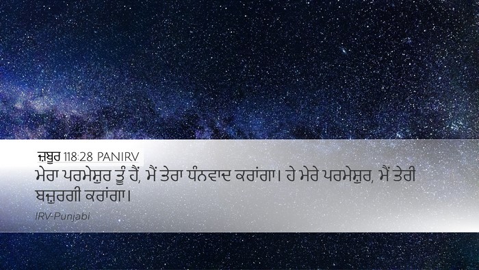 ਜ਼ਬੂਰ 118:28 PANIRV Bible Verse Image