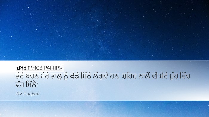 ਜ਼ਬੂਰ 119:103 PANIRV Bible Verse Image