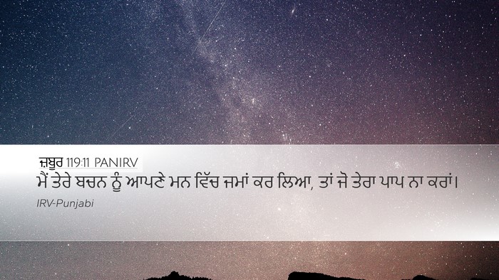 ਜ਼ਬੂਰ 119:11 PANIRV Bible Verse Image