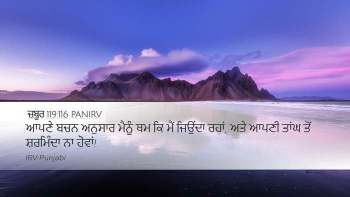 ਜ਼ਬੂਰ 119:116 PANIRV Bible Verse Image