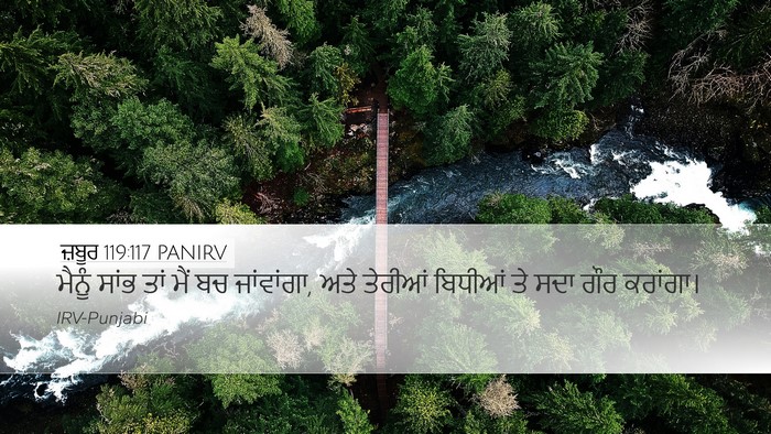 ਜ਼ਬੂਰ 119:117 PANIRV Bible Verse Image