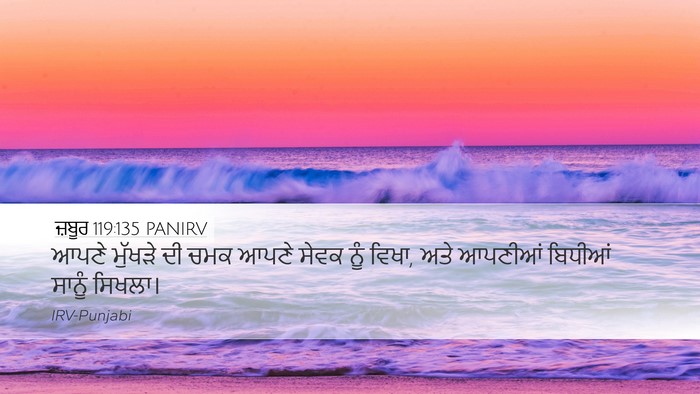 ਜ਼ਬੂਰ 119:135 PANIRV Bible Verse Image