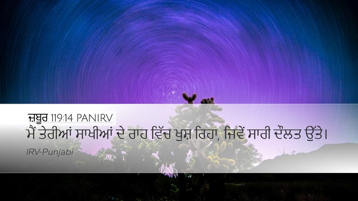 ਜ਼ਬੂਰ 119:14 PANIRV Bible Verse Image