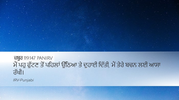ਜ਼ਬੂਰ 119:147 PANIRV Bible Verse Image