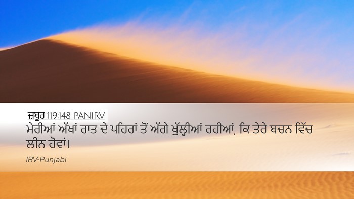 ਜ਼ਬੂਰ 119:148 PANIRV Bible Verse Image