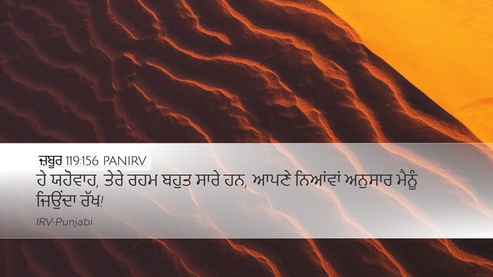 ਜ਼ਬੂਰ 119:156 PANIRV Bible Verse Image