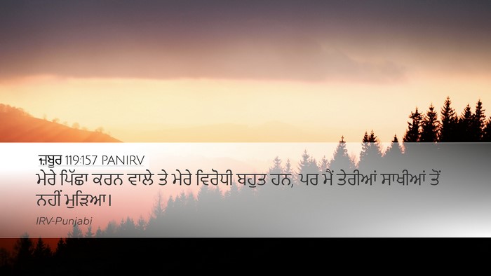 ਜ਼ਬੂਰ 119:157 PANIRV Bible Verse Image