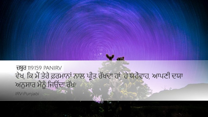 ਜ਼ਬੂਰ 119:159 PANIRV Desktop Wallpaper - ਵੇਖ, ਕਿ ਮੈਂ ਤੇਰੇ - Desktop Bible Verse Wallpaper