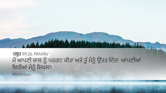ਜ਼ਬੂਰ 119:26 PANIRV Bible Verse Image